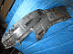  : 8f292039